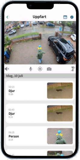 Molnvideolagrings-gif