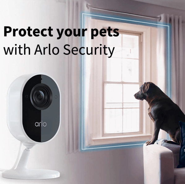 A dog looking out the window monitored by an Arlo Essential Indoor camera with a link on the Arlo account's Instagram post