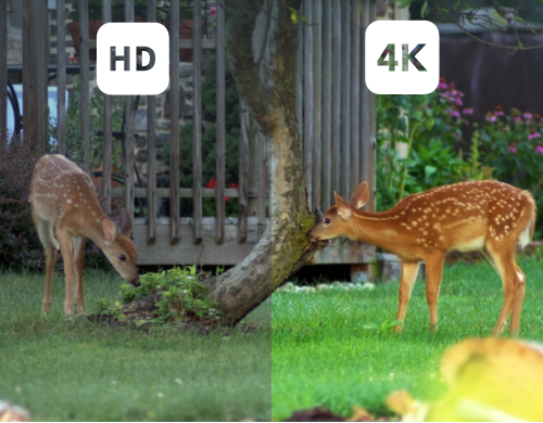 Twee beelden die het verschil laten zien tussen de HD- en 4K-kwaliteitsweergave van de beveiligingscamera