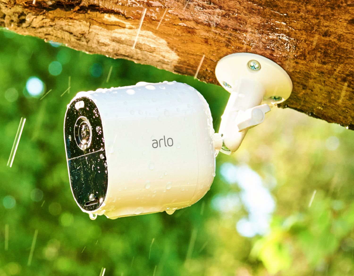 Arlo Essential Spotlight camera attached to a tree in the rain, built to withstand rain, snow, cold and sun