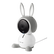 Arlo Baby (Gray Bunny Character)